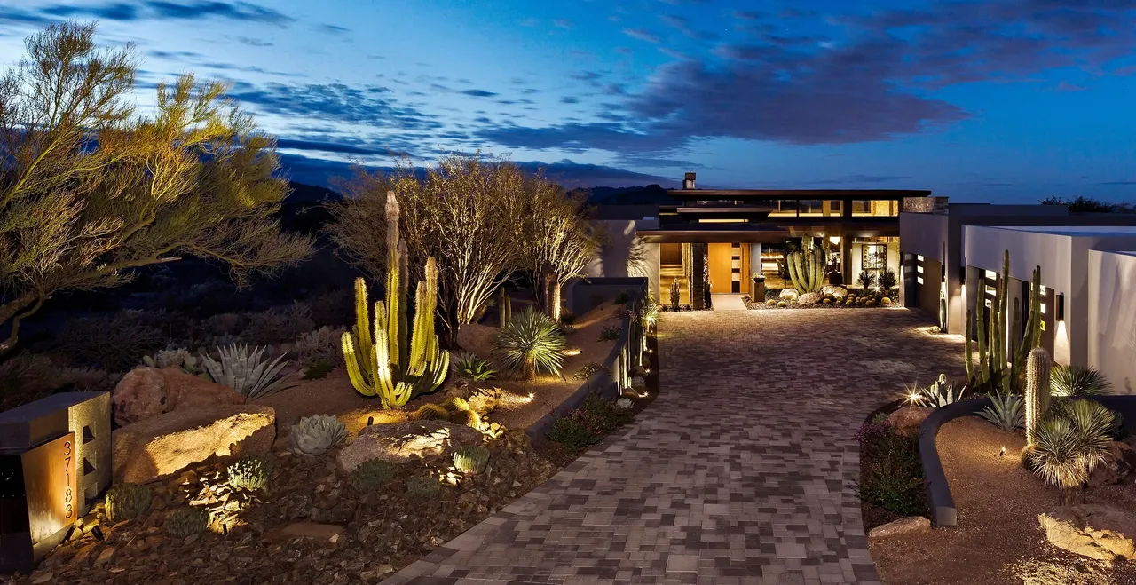 A desert landscape with cactus and bushes at night.