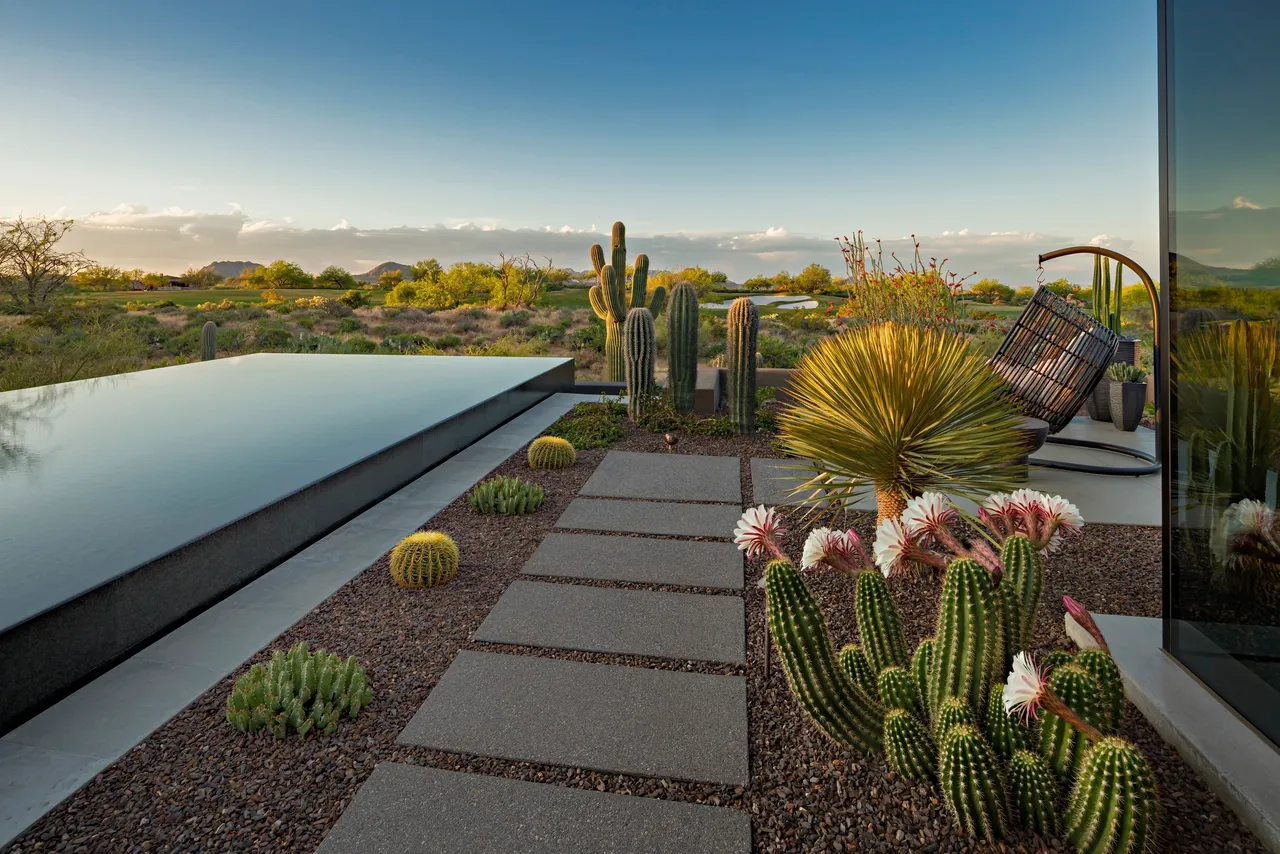 A garden with many different plants and flowers