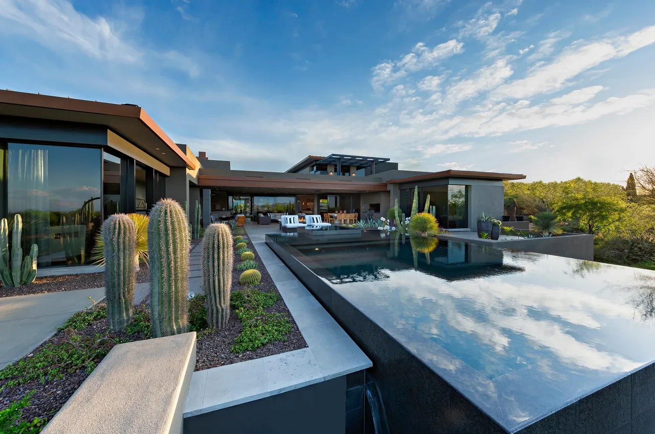 A large pool with a lot of plants around it