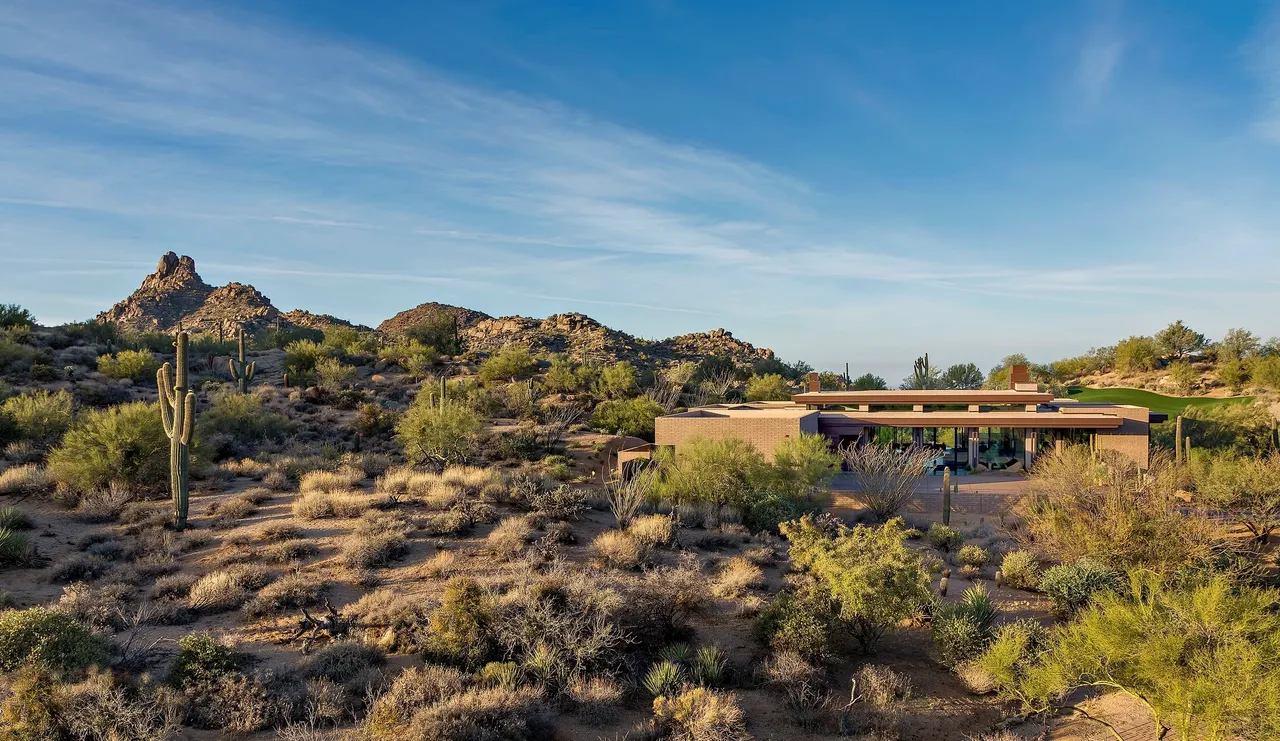 A desert landscape with bushes and trees.