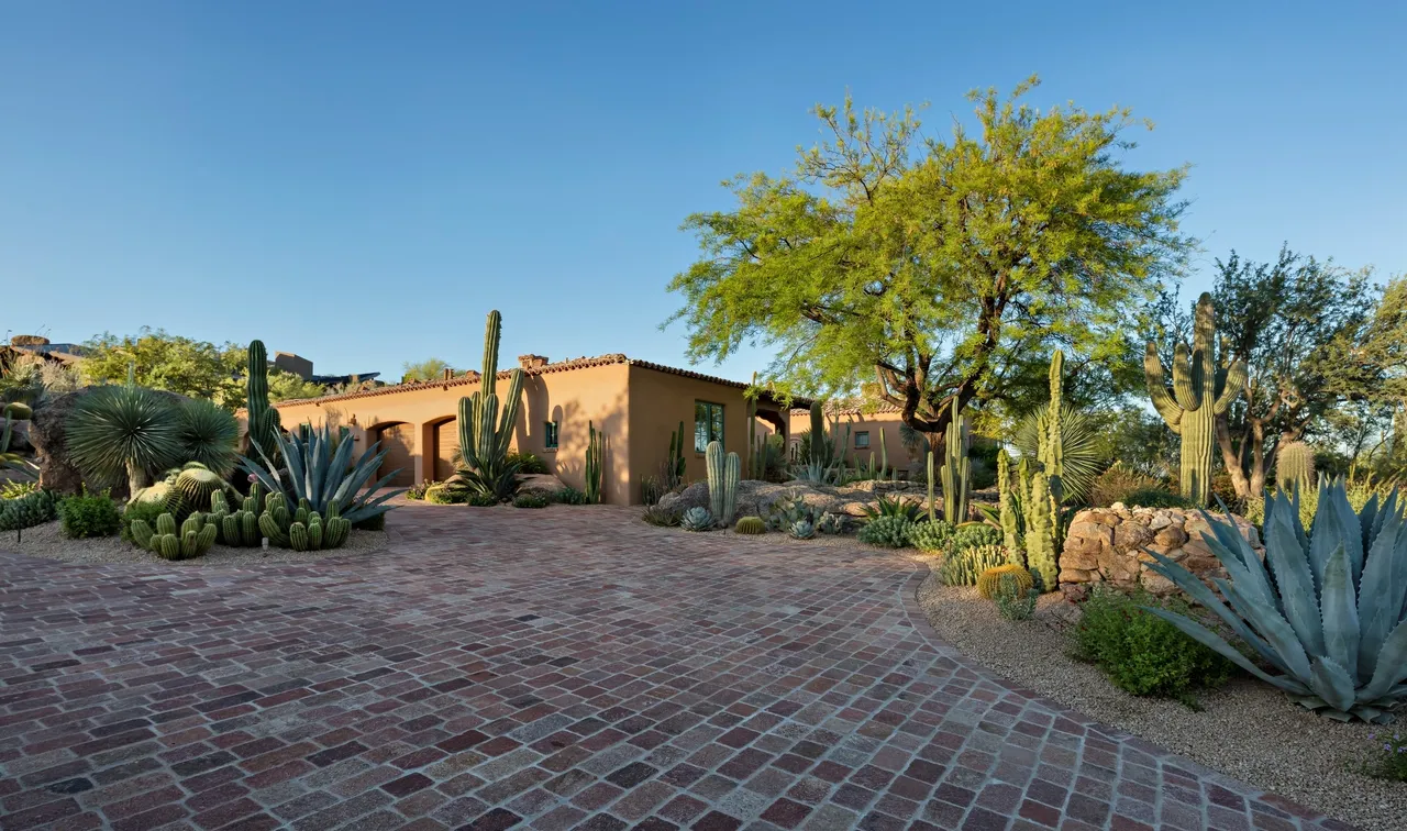 A brick driveway with cactus and bushes in the background.