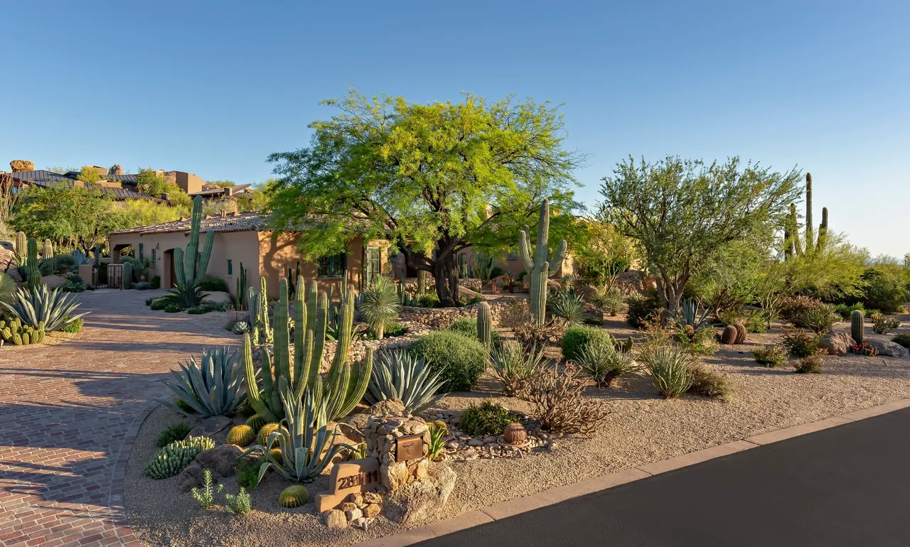 A desert garden with cacti and other plants.