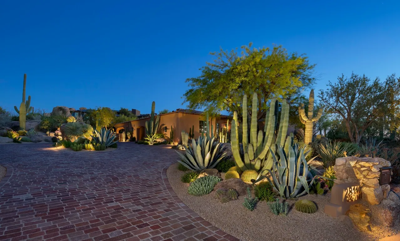 A garden with many different types of cactus.