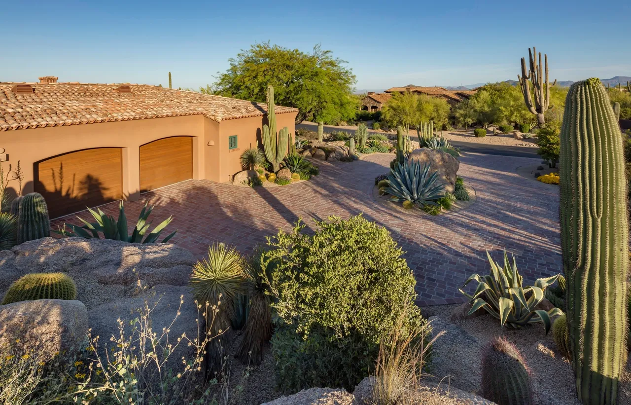 A desert landscape with cacti and bushes.