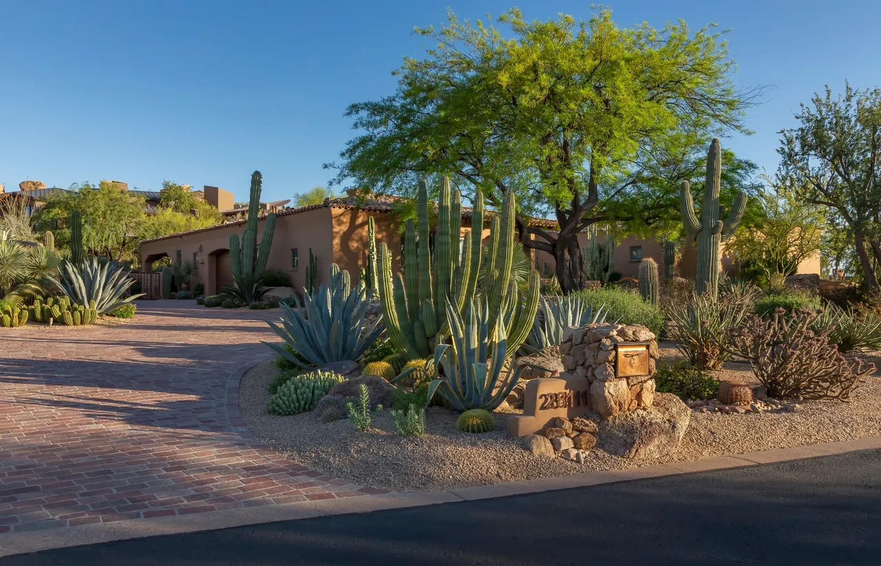 A desert garden with cacti and bushes in the background.