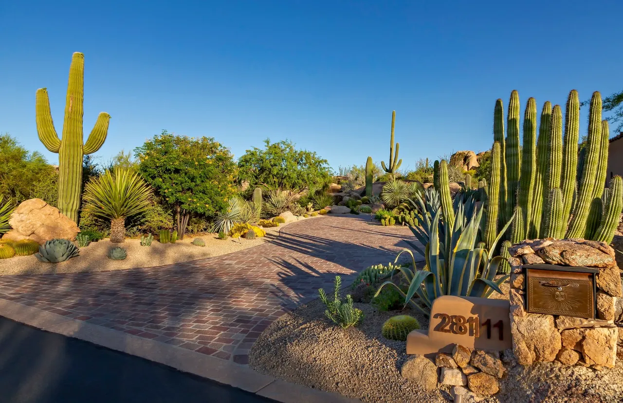 A desert landscape with cacti and bushes.