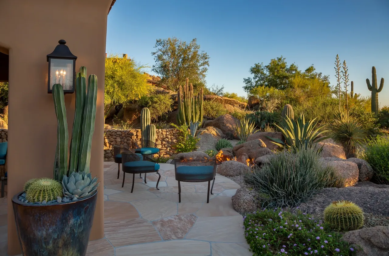 A patio with chairs and potted plants in the middle of it.