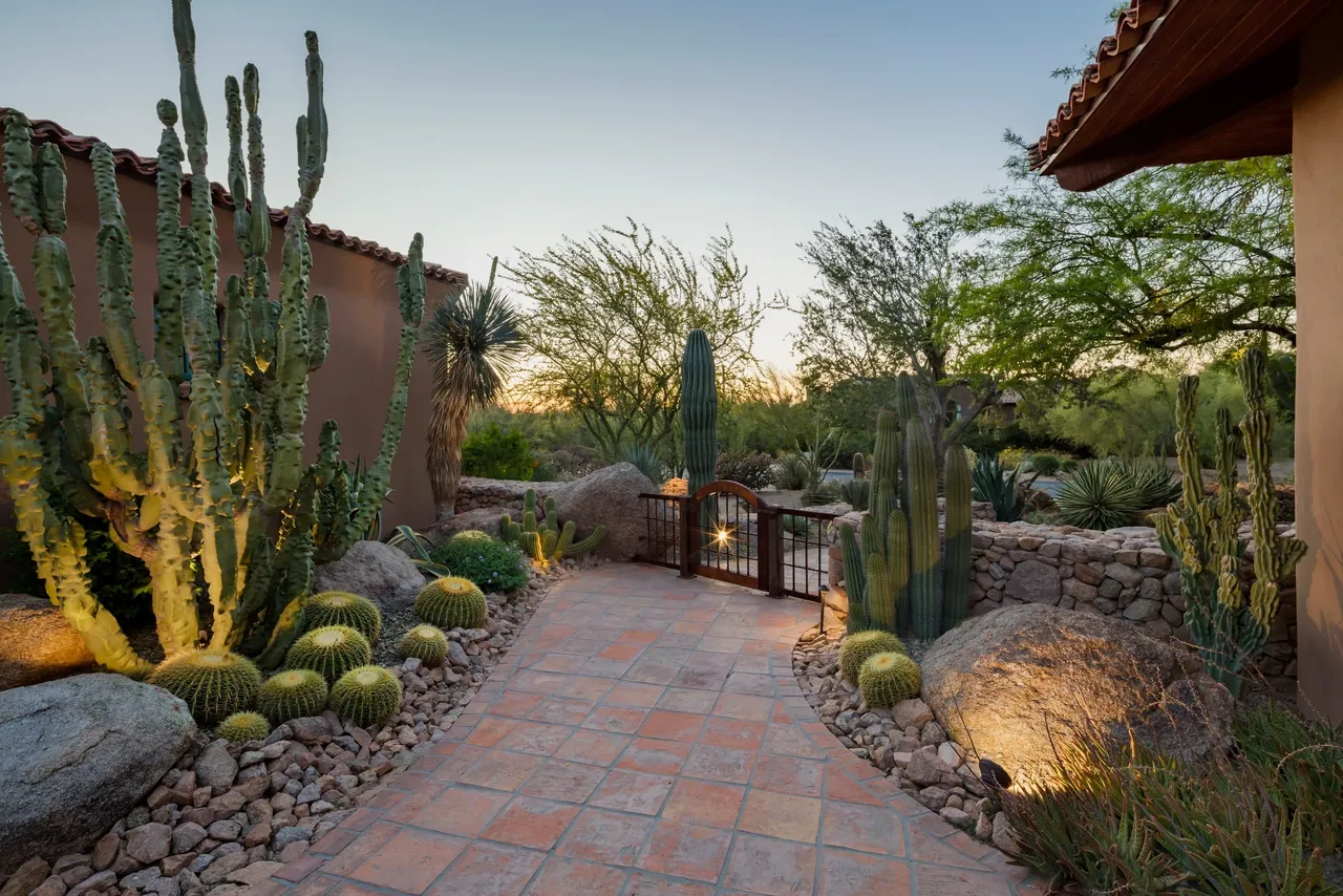 A garden with many cacti and rocks