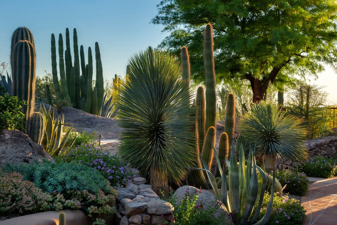 A garden with many different plants and trees.