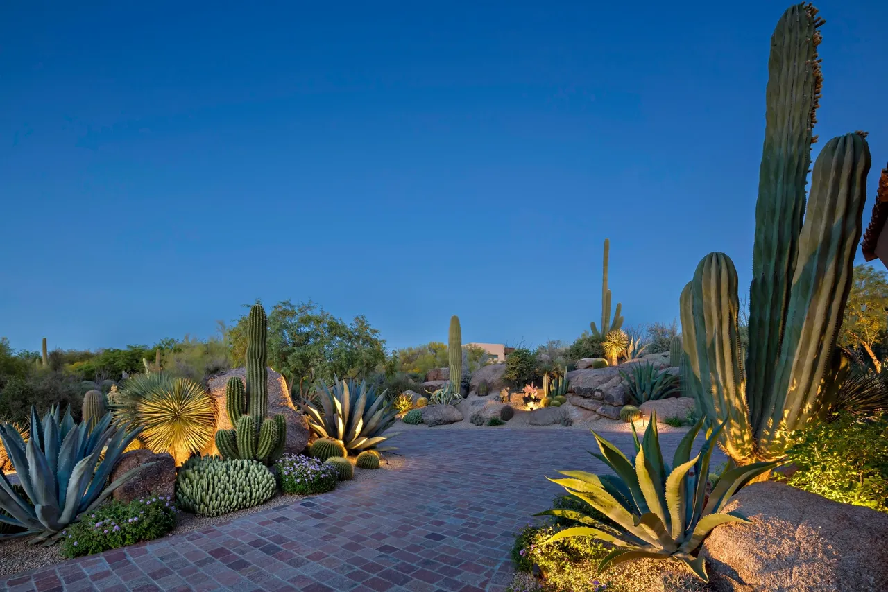 A garden with many different types of plants.