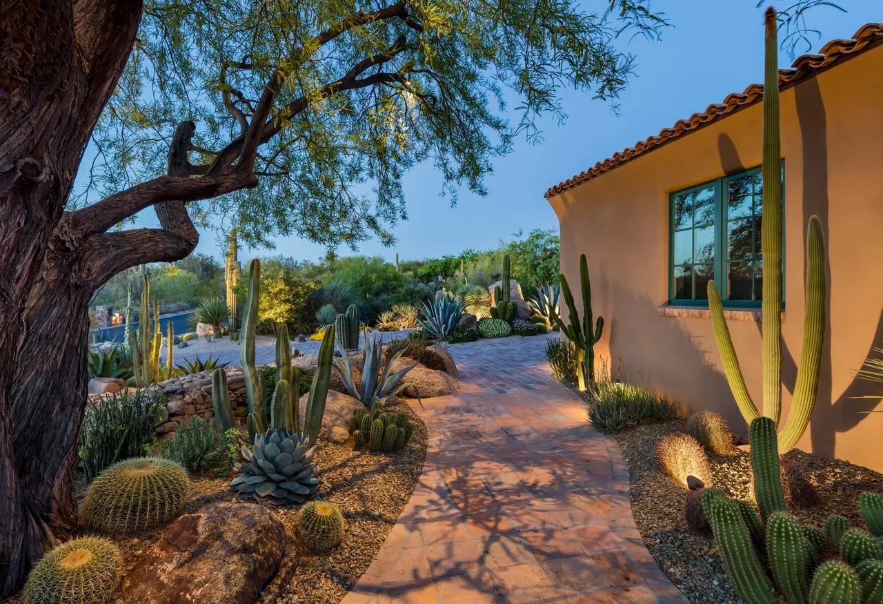 A desert garden with cacti and bushes.