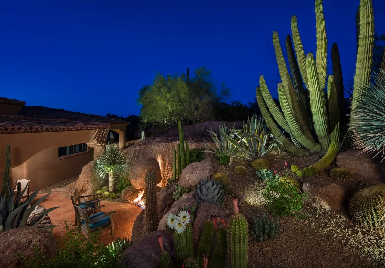 A garden with cacti and bushes in the background.